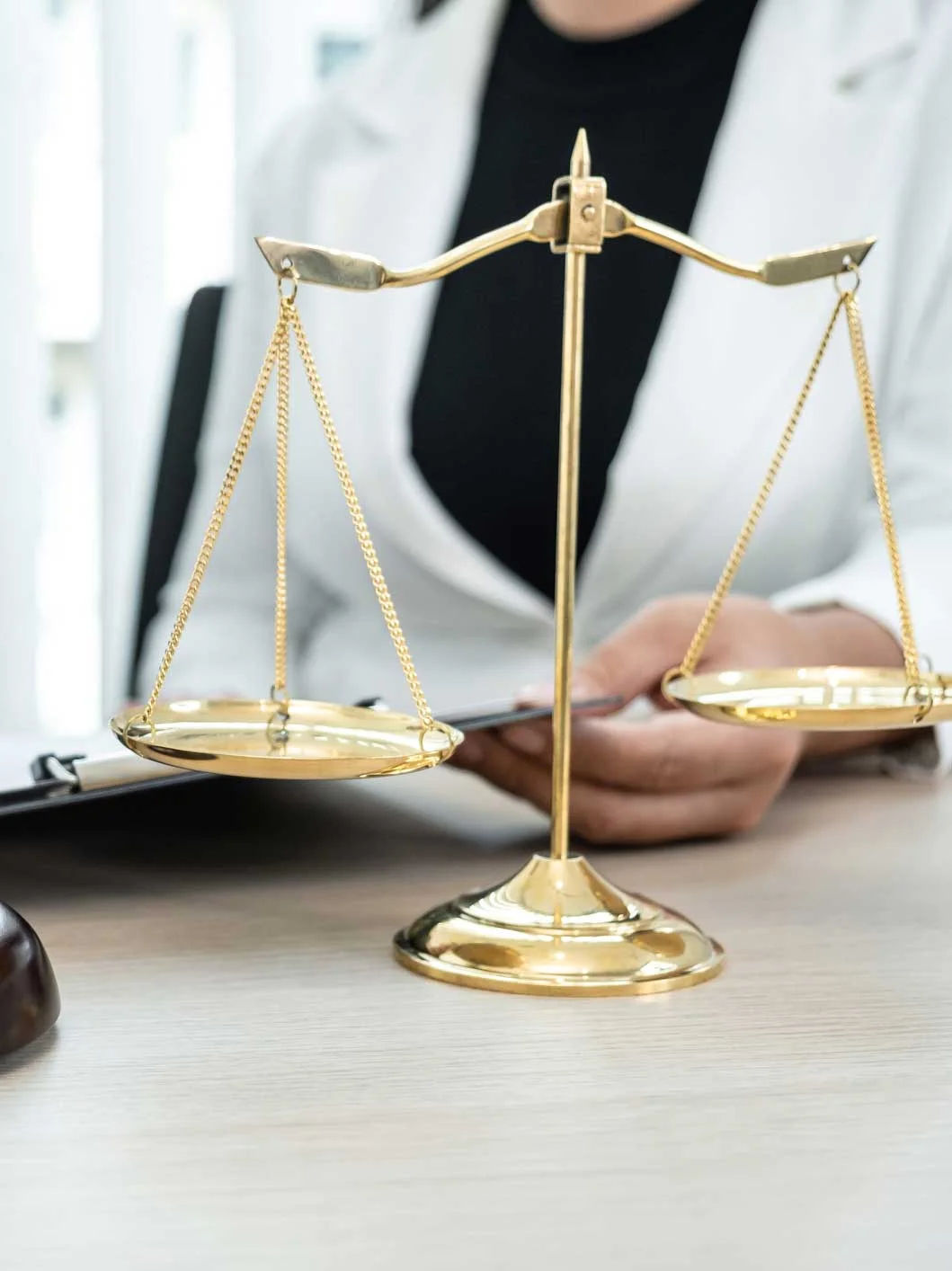 Professional Family Lawyer